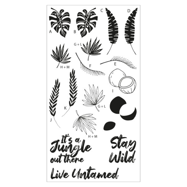 Sizzix Clear Stamps Set 18PK – Stay Wild By Catherine Pooler - Image 2